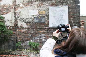 IMG_ (10439)